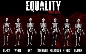 skeletons_equality_deception